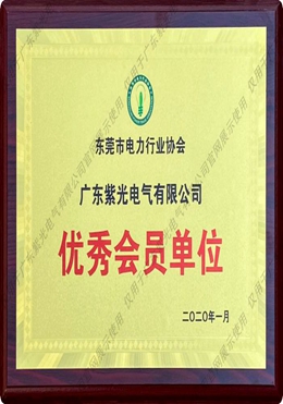 東莞市電力行業(yè)協(xié)會優(yōu)秀會員單位