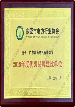 東莞市電力行業(yè)協(xié)會優(yōu)秀品牌建設單位